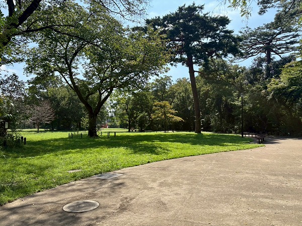 柏の宮公園