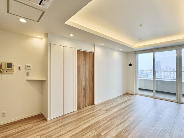 芝浦アイランドケープタワー_44階のお部屋の写真
