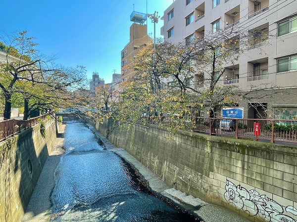 目黒川