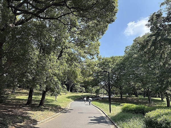 代々木公園1
