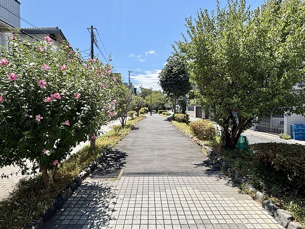 緑道