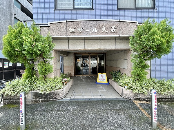 セザール大森　アプローチ