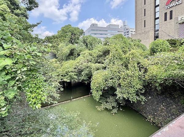 神田川