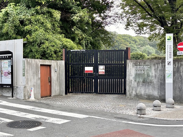 小石川植物園