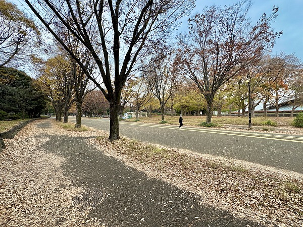 駒沢オリンピック公園