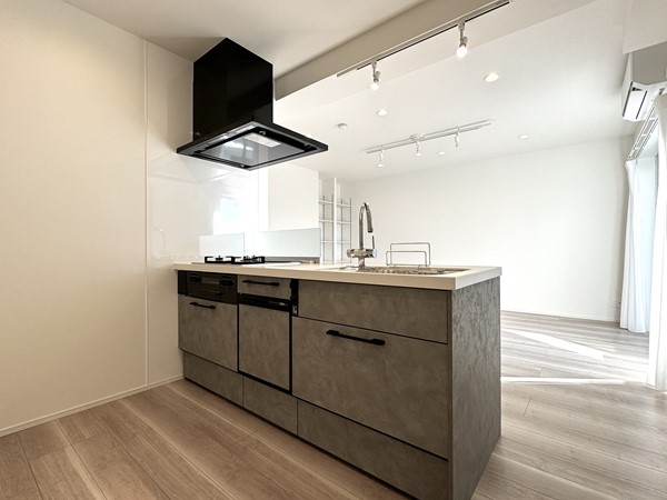 エクセレント等々力_システムキッチンの写真