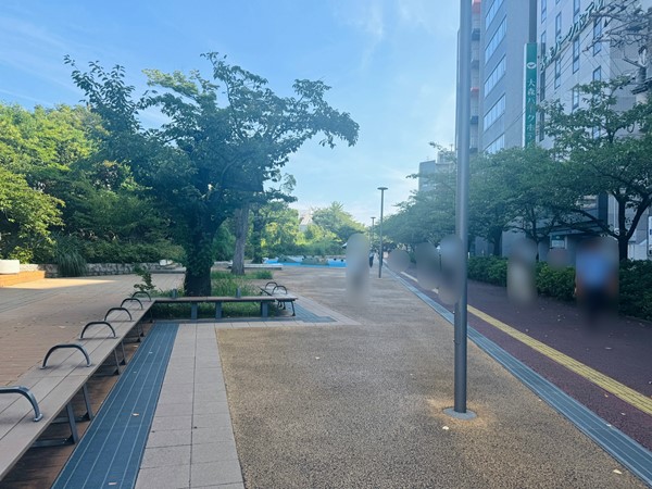 大井水神公園　桜並木