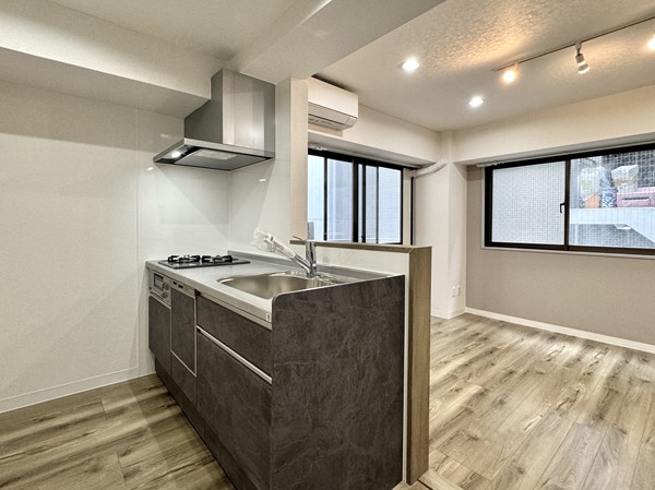 エスポワール麻布_ メインルームの写真3