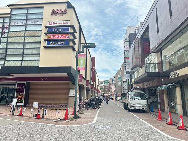 フレルウィズ