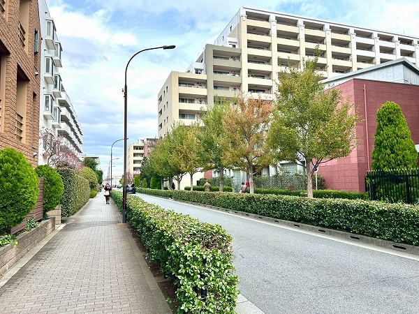 マンション周辺の道