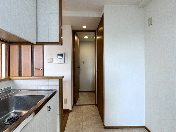 ヒルズ久が原_洗面とキッチンを繋ぐ扉の写真