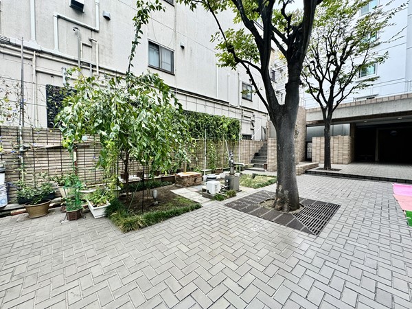 グランドメゾン田町　アプローチ