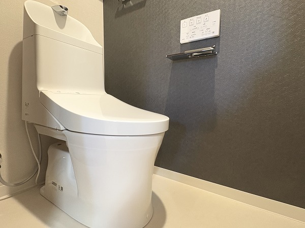 祖師谷ヒミコマンション_トイレの写真3