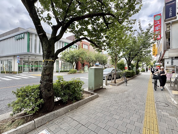 駅前の桜並木