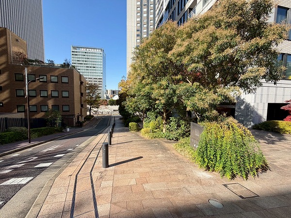 マンション敷地