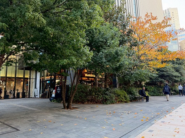 スターバックス コーヒー 赤坂インターシティAIR店