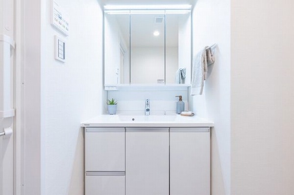 グランレーブ目白東_広々としたパウダールームの写真