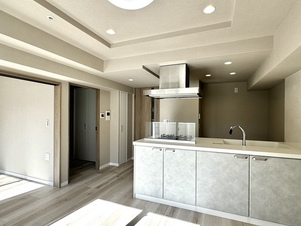 メインステージ新橋_リノベーション済みのお部屋の写真