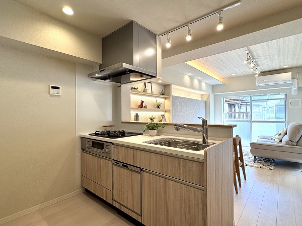 エンゼルハイム多摩川_システムキッチンの写真