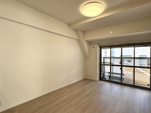 セザール御殿山_メインルームの写真2