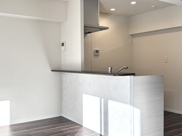 ライオンズマンション大森_開放的な対面キッチンの写真