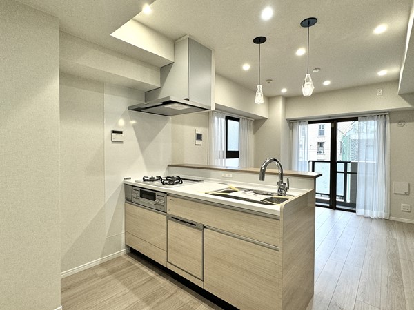 ライオンズプラザ東麻布_メインルームの写真3