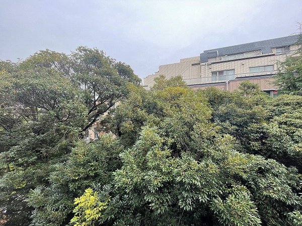 GSハイム南青山_バルコニーからの眺望の写真4