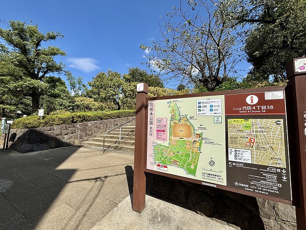 羽根木公園