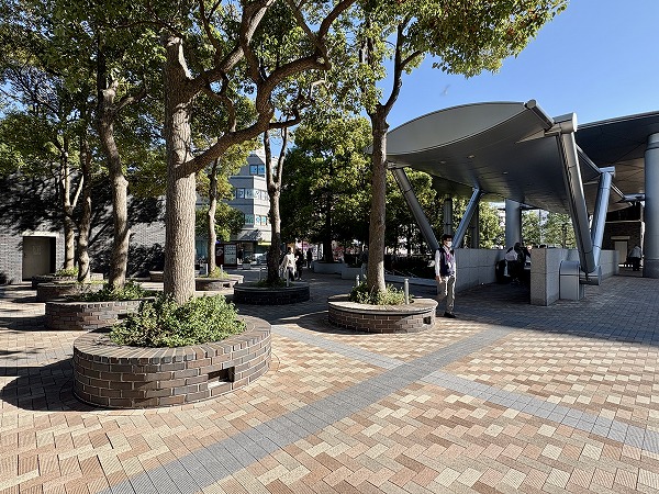 駅周辺の並木道