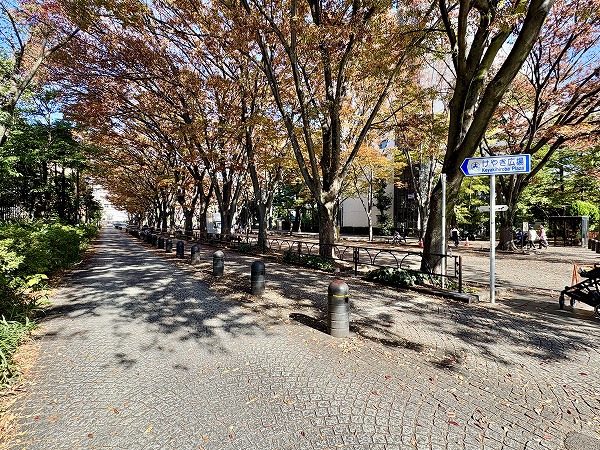 けやき広場
