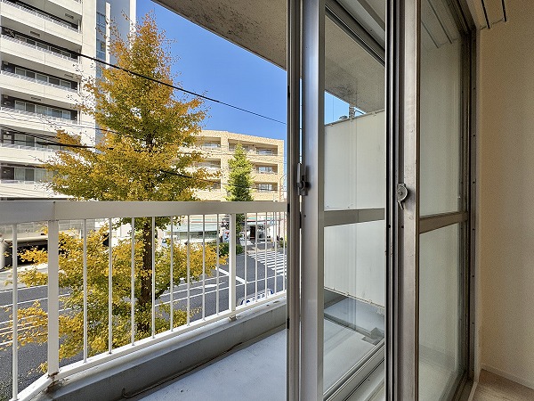 等々力ビューハイツ_二重サッシと銀杏が見えるバルコニーの写真