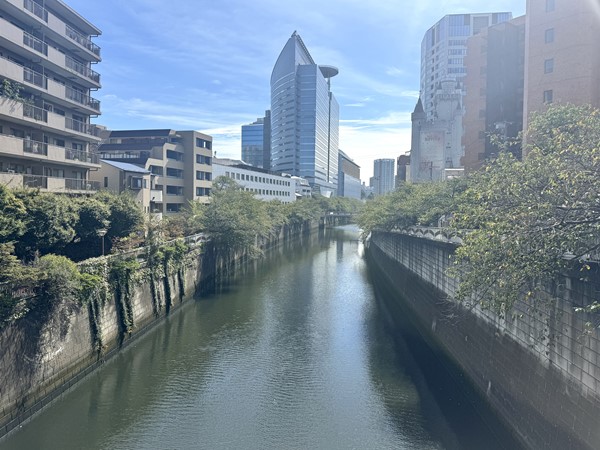 目黒川