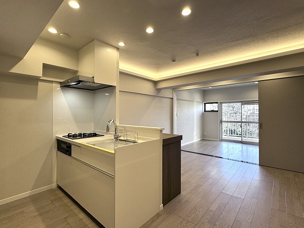 渋谷マンション_メインルームの写真2