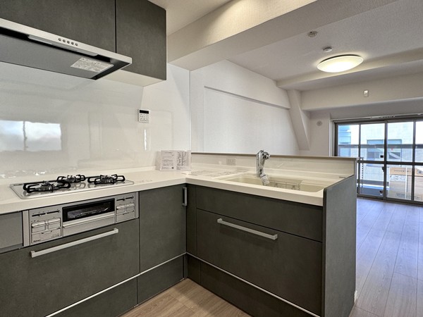 セザール御殿山_システムキッチンの写真