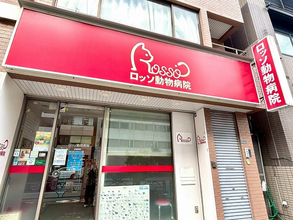 ロッソ動物病院