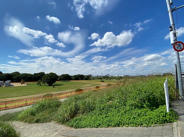 ハイネス尾山台_緑豊かな環境の写真