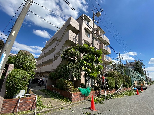 ハイネス尾山台_外観の写真