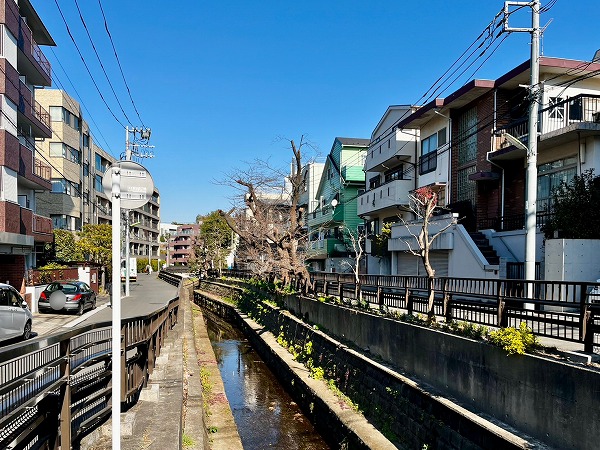 『ドミール二子玉川』近くの様子