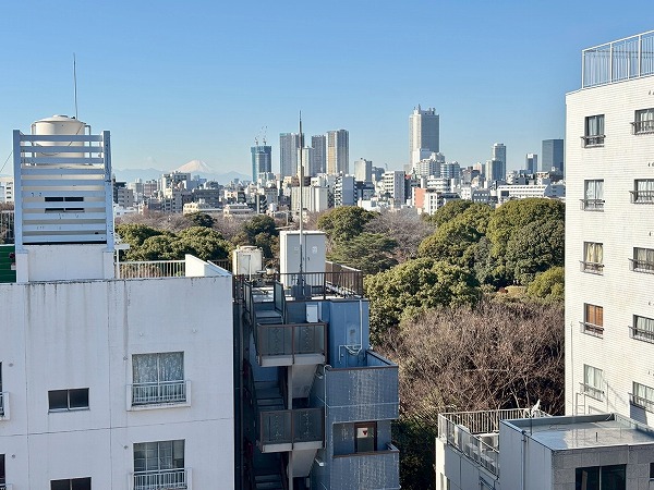 ライオンズマンション六義園_六義園・富士山の写真