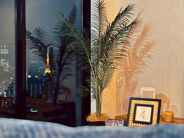 グランドヒルズ恵比寿_リビングダイニングからの眺めの写真