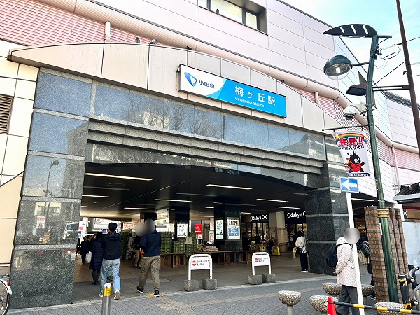 梅ヶ丘駅