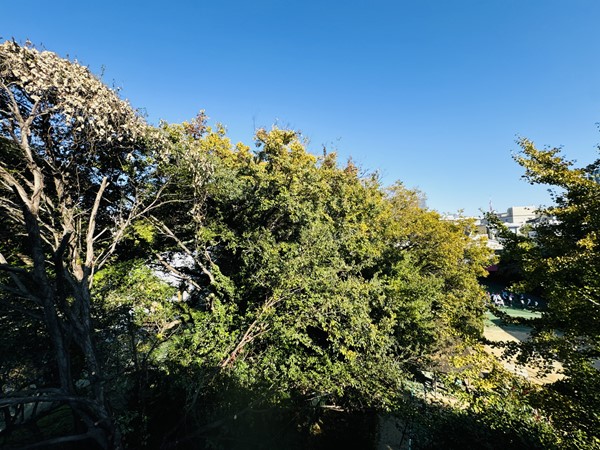 パークレ・ジェイド白金レジデンス_爽やかなグリーンビューの写真