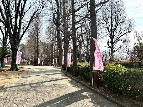 世田谷区立羽根木公園