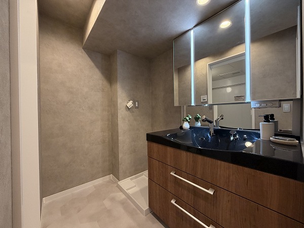 旗の台フラット_サニタリールームの写真