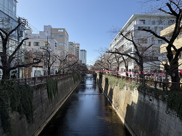目黒川