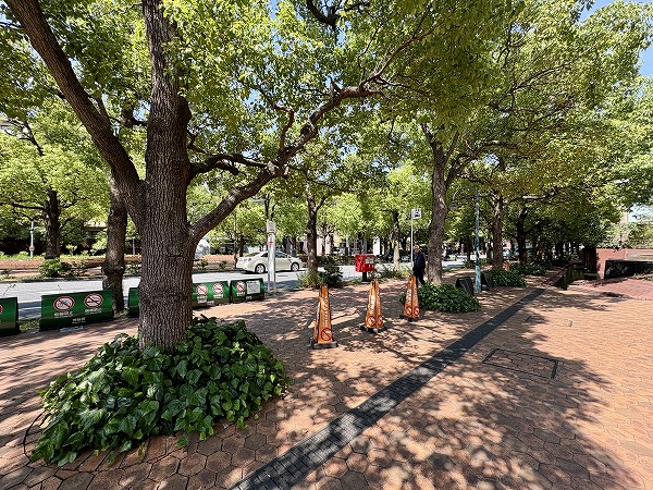 アメリカ橋公園