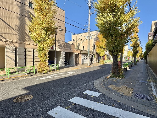 等々力ビューハイツまでの道のり1