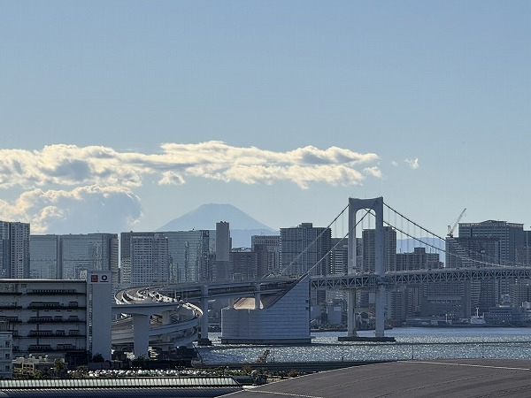 ガレリアグランデ_レインボーブリッジの写真