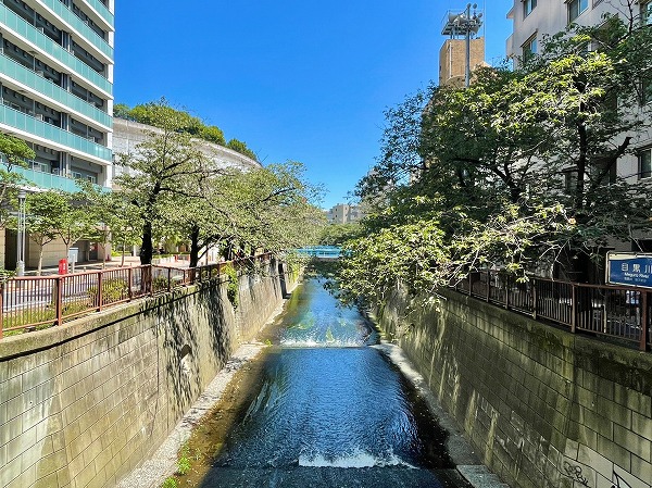 目黒川