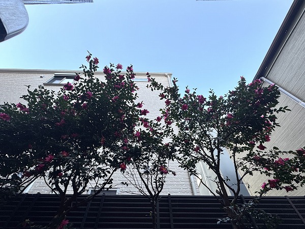 菱和パレス品川中延_眺望の写真